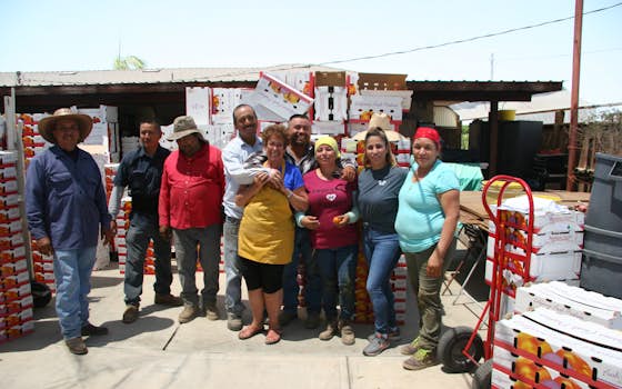 Balakian Farms