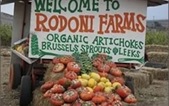 Rodoni Farms