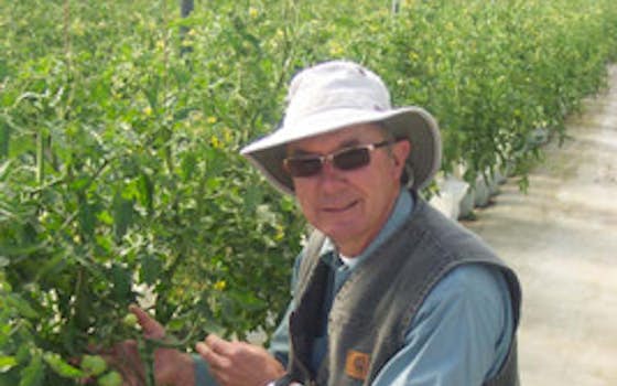 Wilgenburg Greenhouses