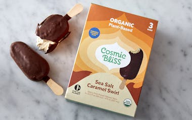 Organic Vegan Salted Caramel in Chocolate Coconut Ice Cream Bars