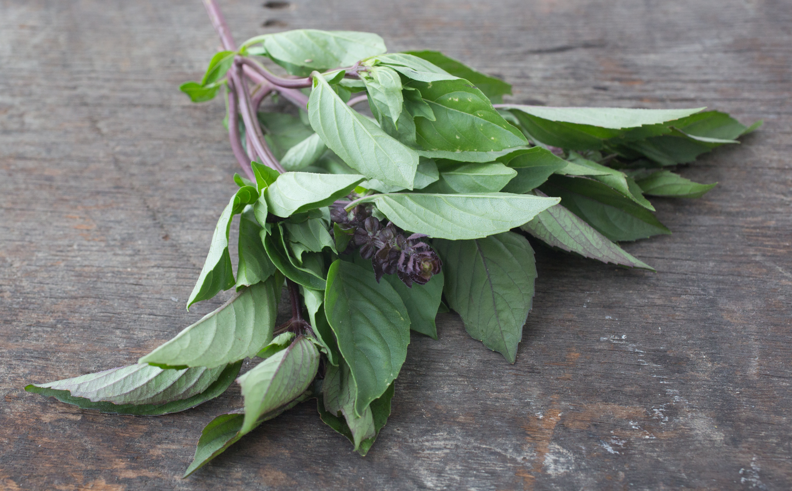 Organic Thai Basil 1 bunch Live Earth Farm Good Eggs