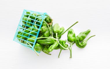 Organic Padron Peppers