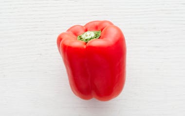 Organic & Fair Trade Large Red Bell Pepper (Mexico)