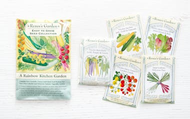 Rainbow Kitchen Vegetable Garden Seeds Collection