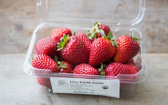 Organic Albion Strawberries 16 oz Live Earth Farm Good Eggs
