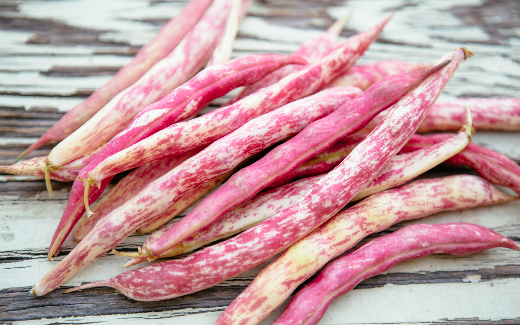 Beansページ Bush's Zero Sugar Added Baked Beans, Canned Beans, 15.8 oz