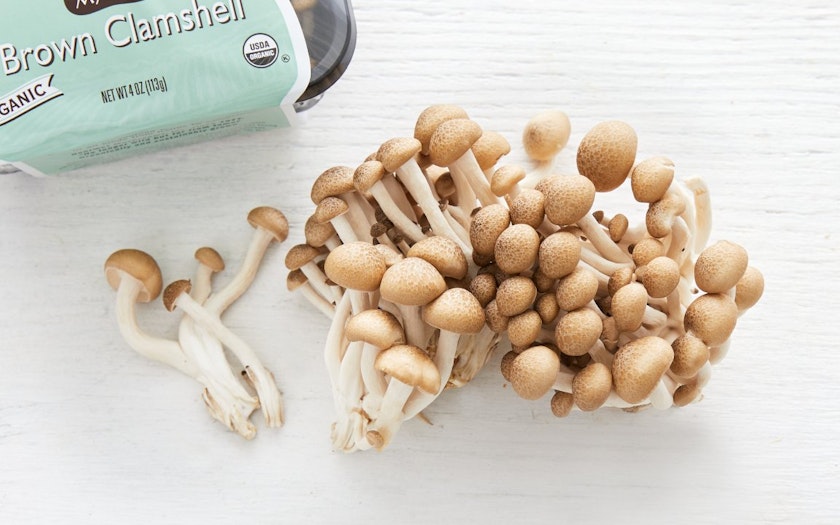 Beech wood chips - Medicinal Mushroom Onlineshop - Tyroler
