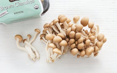 Organic Brown Clamshell (Brown Beech) Mushrooms