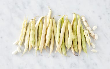 Organic Fresh Cannellini Beans