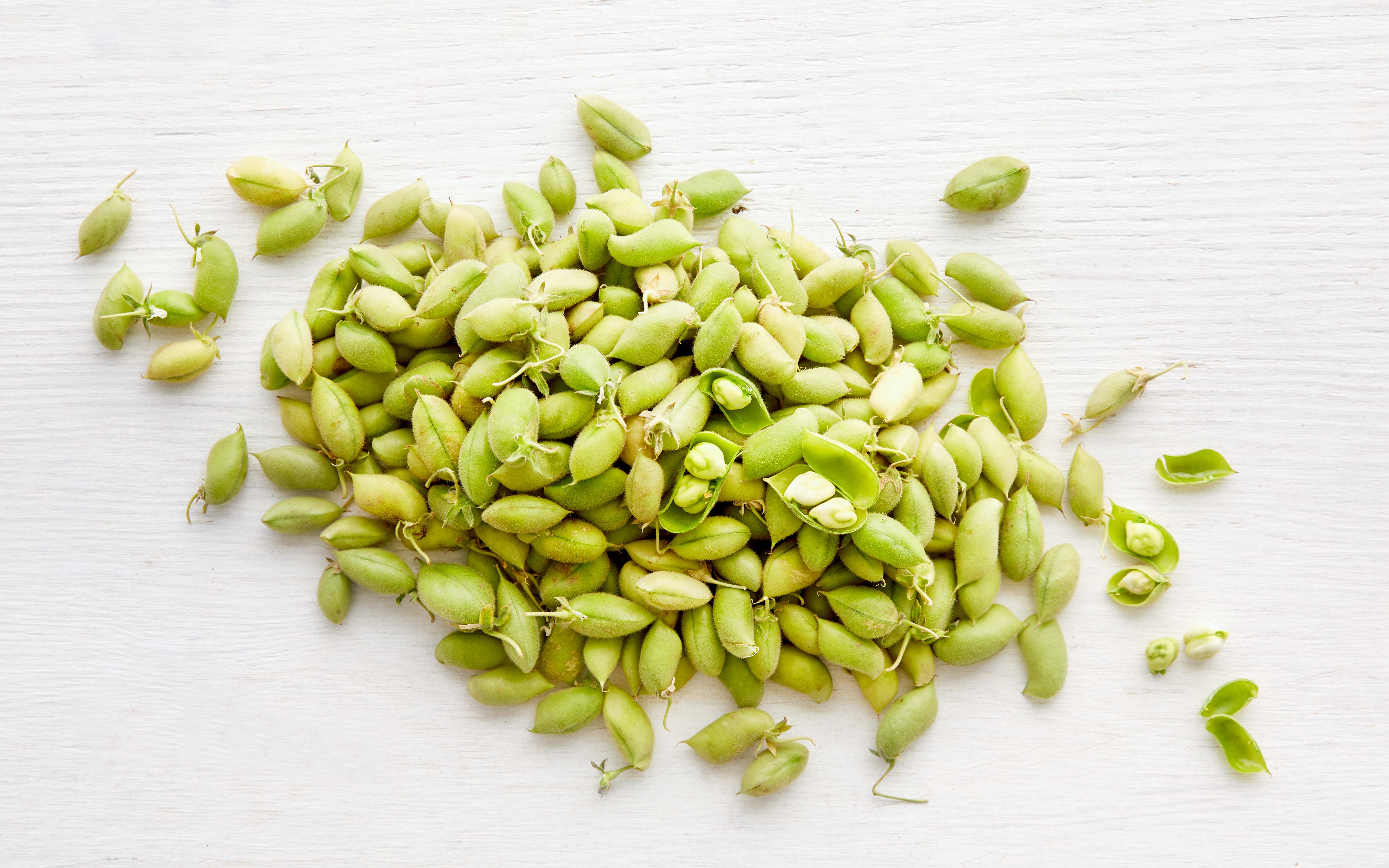 Organic Fresh Garbanzo Beans 1 lb Coke Farms Good Eggs