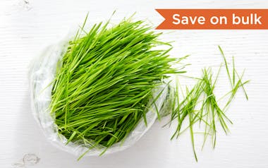 Bulk Organic Cut Wheatgrass