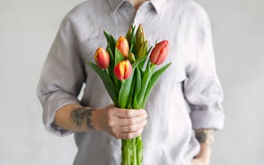 Organic Farmer's Choice Tulips