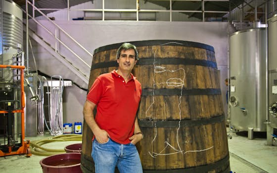 Luis Seabra Vinhos