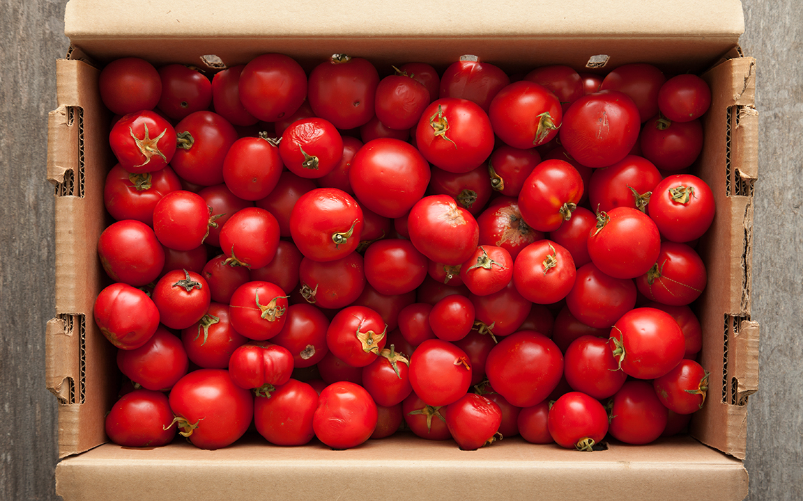 Case of Organic DryFarmed Early Girl Canning Tomatoes 20 lb Lonely