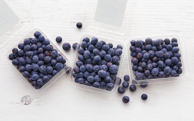 Organic Blueberry 3-Pack
