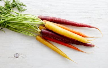 Organic Bunched Rainbow Carrots