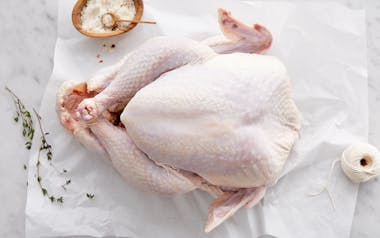 Pasture Raised Broad Breasted Turkey (14-16 lb, Frozen)
