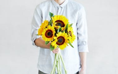 Organic Large Sunflowers
