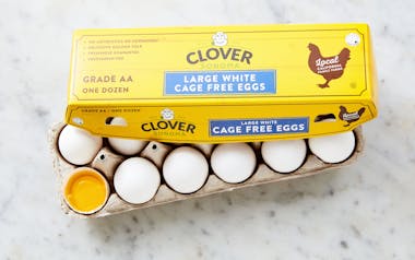 Cage Free White Eggs (Large)