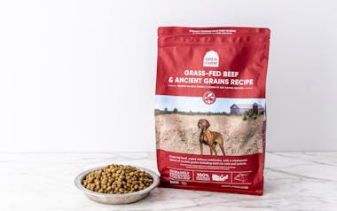Grass-Fed Beef & Ancient Grains Recipe Dry Dog Food