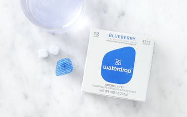 Blueberry Microlyte Hydration Cubes