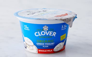 Organic Plain Whole Milk Greek Yogurt