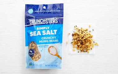 Sea Salt Sprouted Protein Snack