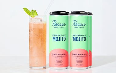 Watermelon Mojito Craft Mocktails