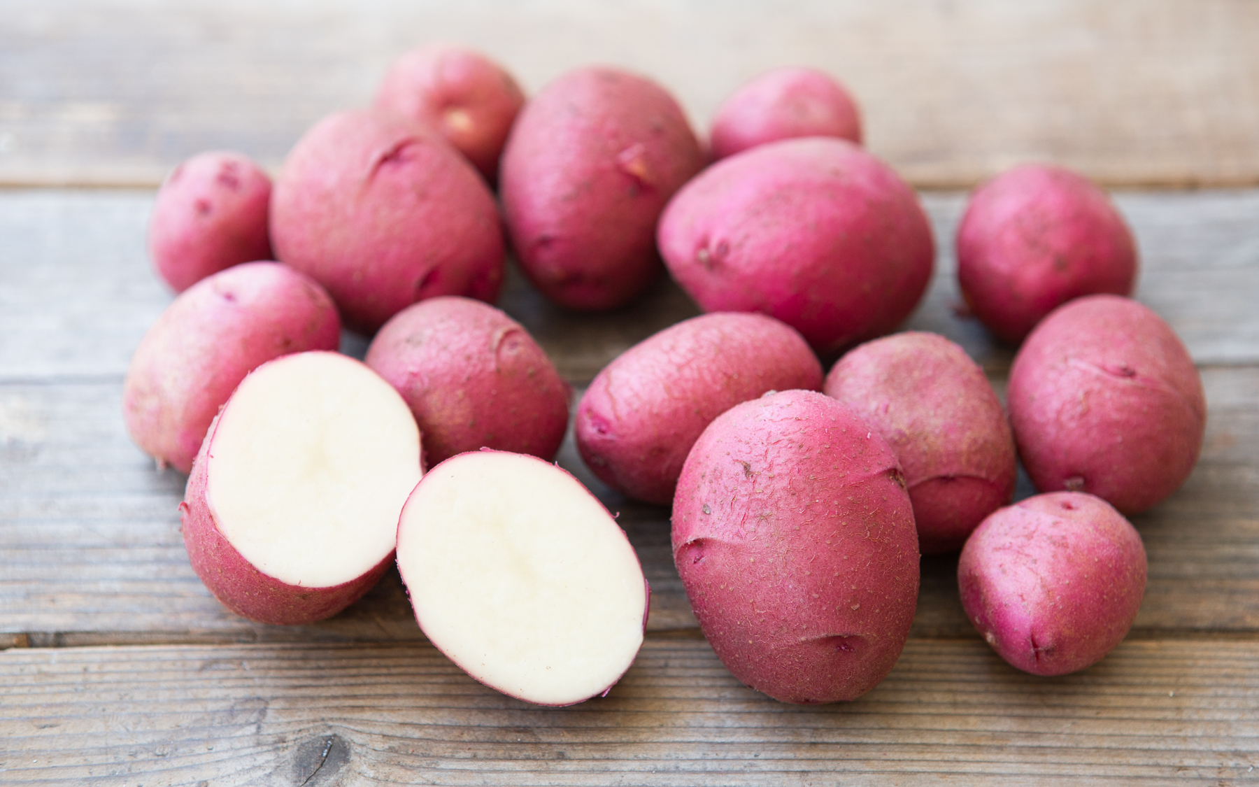 Сорт картофеля с красно-розовой мякотью Адирондак ред (Adirondack Red)
