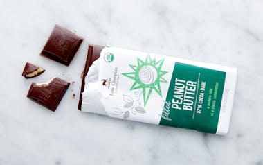 Organic Filled Peanut Butter Dark Chocolate Bar
