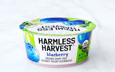 Organic Blueberry Coconut Yogurt
