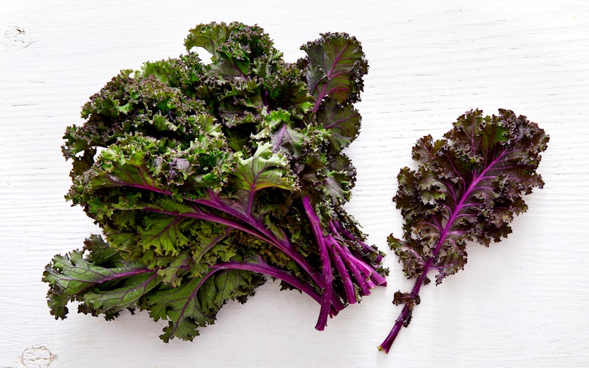 Organic Red Curly Kale | 1 | True | Eggs