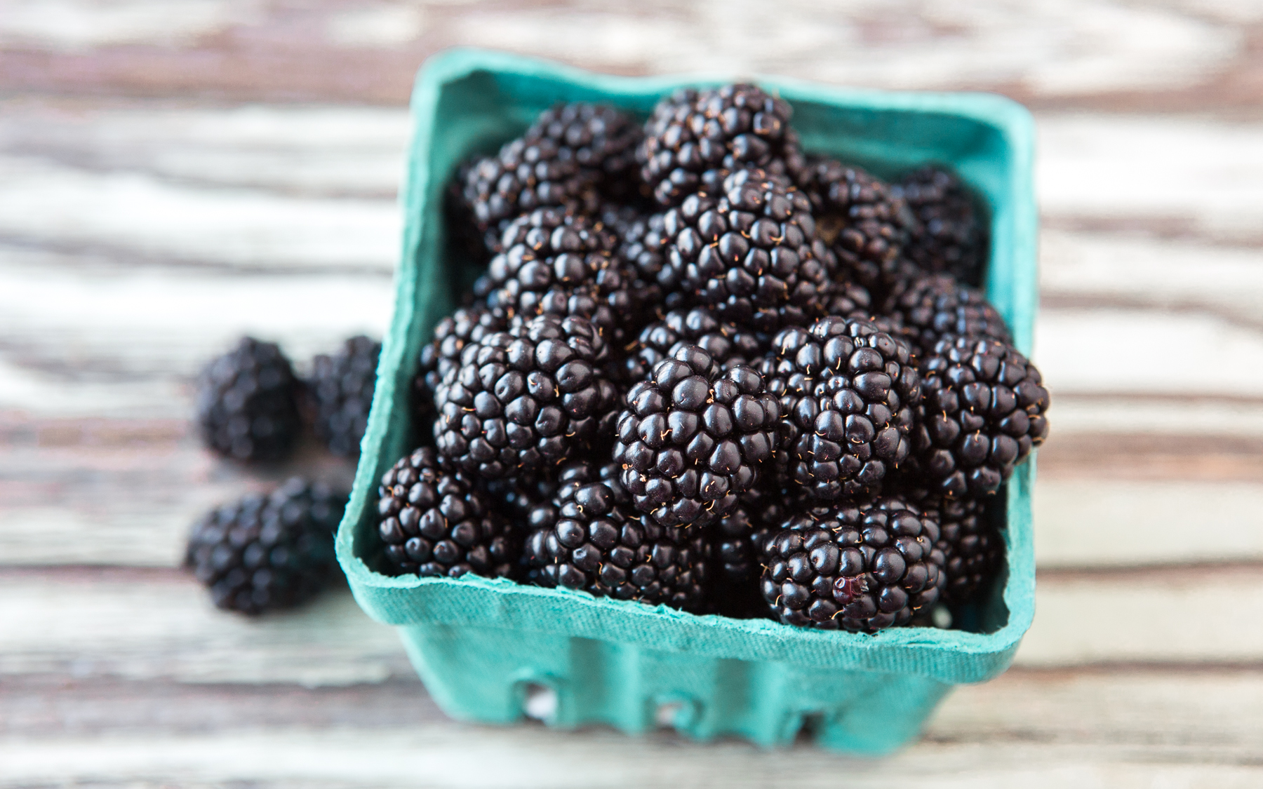 Organic Blackberries 1 half pint Yerena Farms Good Eggs