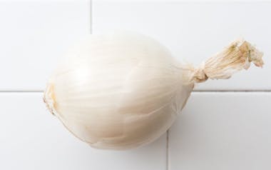 Organic Large White Onion