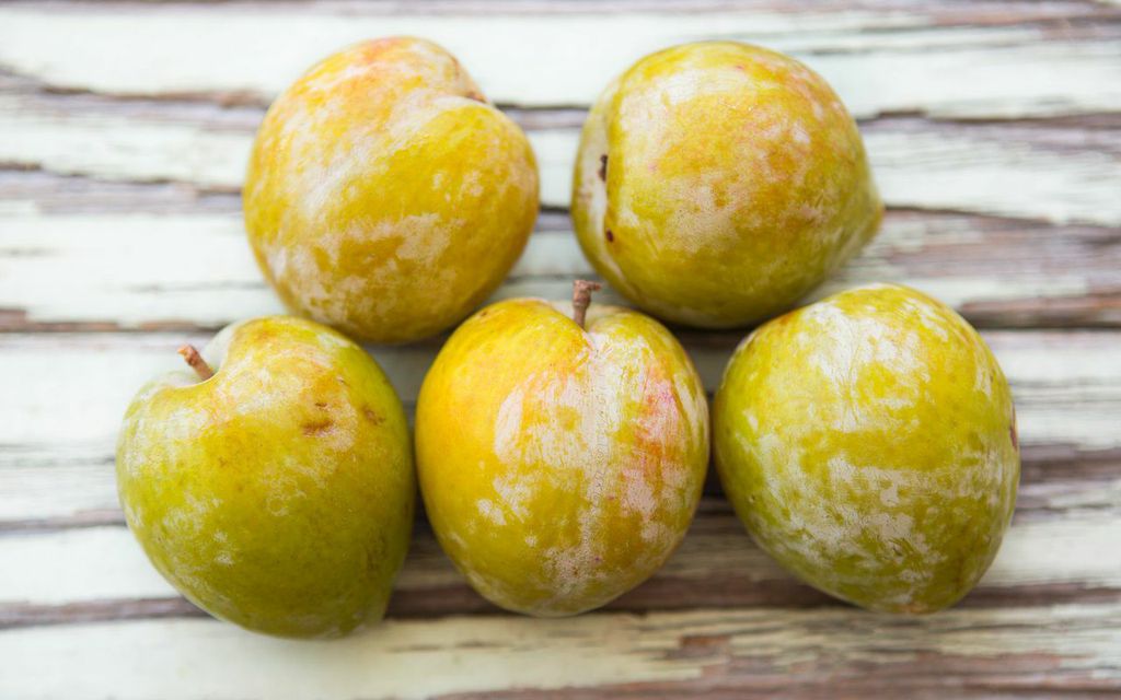 Organic Emerald Beaut Plums 1 lb Frog Hollow Farm Good Eggs