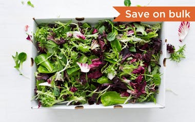 Bulk Pre-Washed Organic Salad Mix