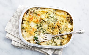Creamy Baked Pasta with Chicken & Broccoli