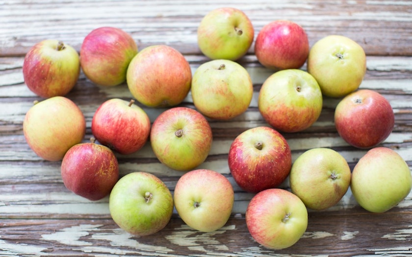 Bulk Organic Small Fuji Apples, 4 lb, Hikari Farms
