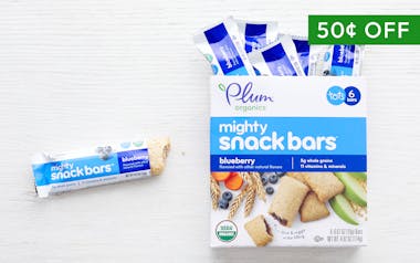 Organic Blueberry Mighty Snack Bars