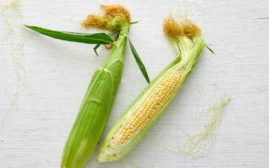 Organic Bi-Color Sweet Corn Duo