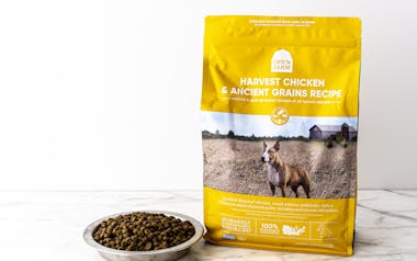 Harvest Chicken & Ancient Grains Recipe Dry Dog Food