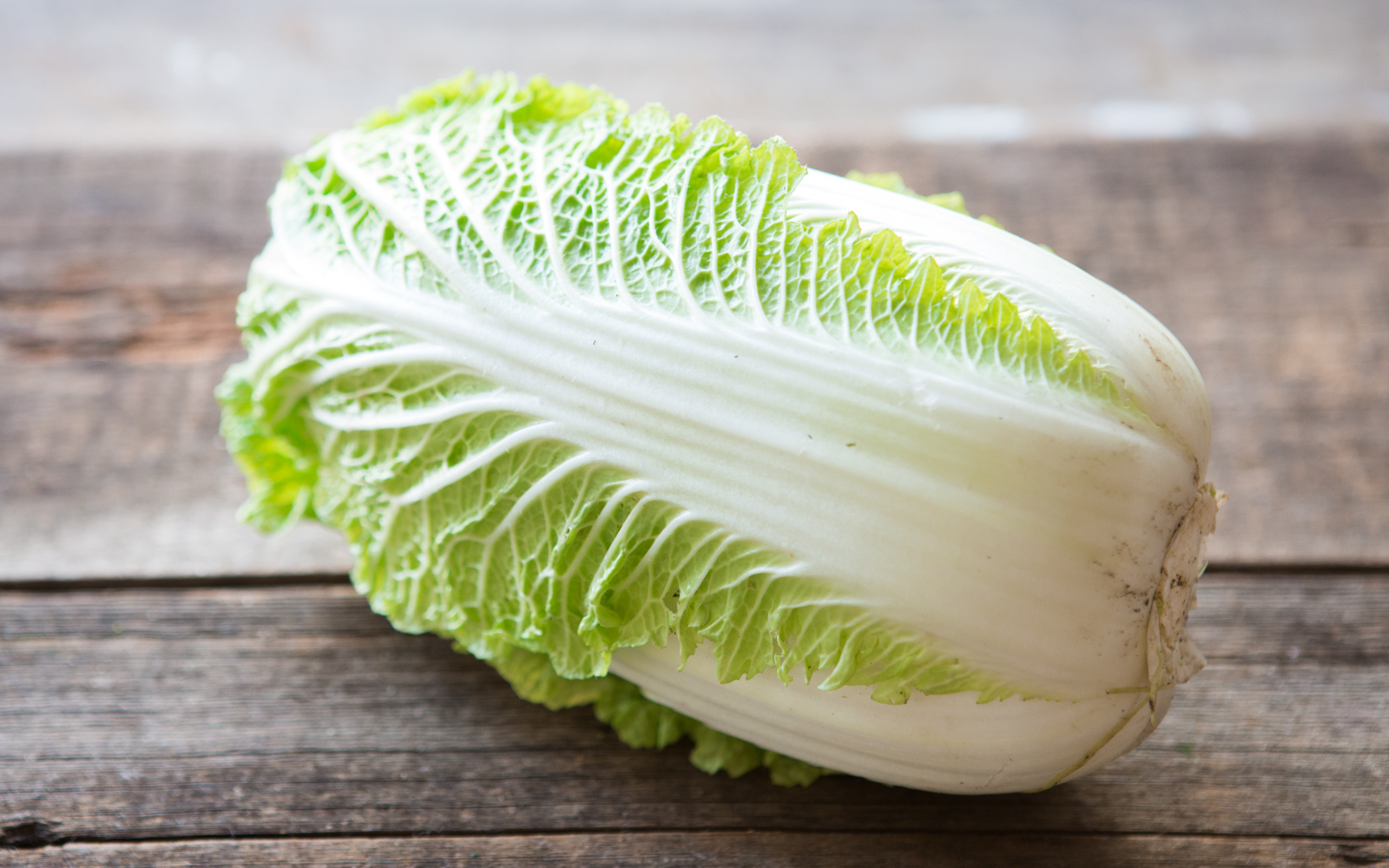 Organic Baby Napa Cabbage 1 head Hikari Farms Good Eggs