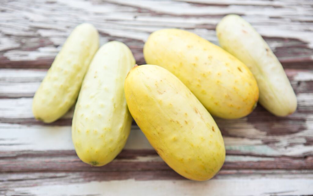 Organic Salt & Pepper Cucumbers 1 lb Live Earth Farm Good Eggs