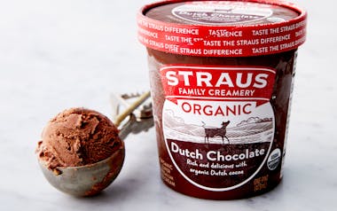 Organic Dutch Chocolate Ice Cream