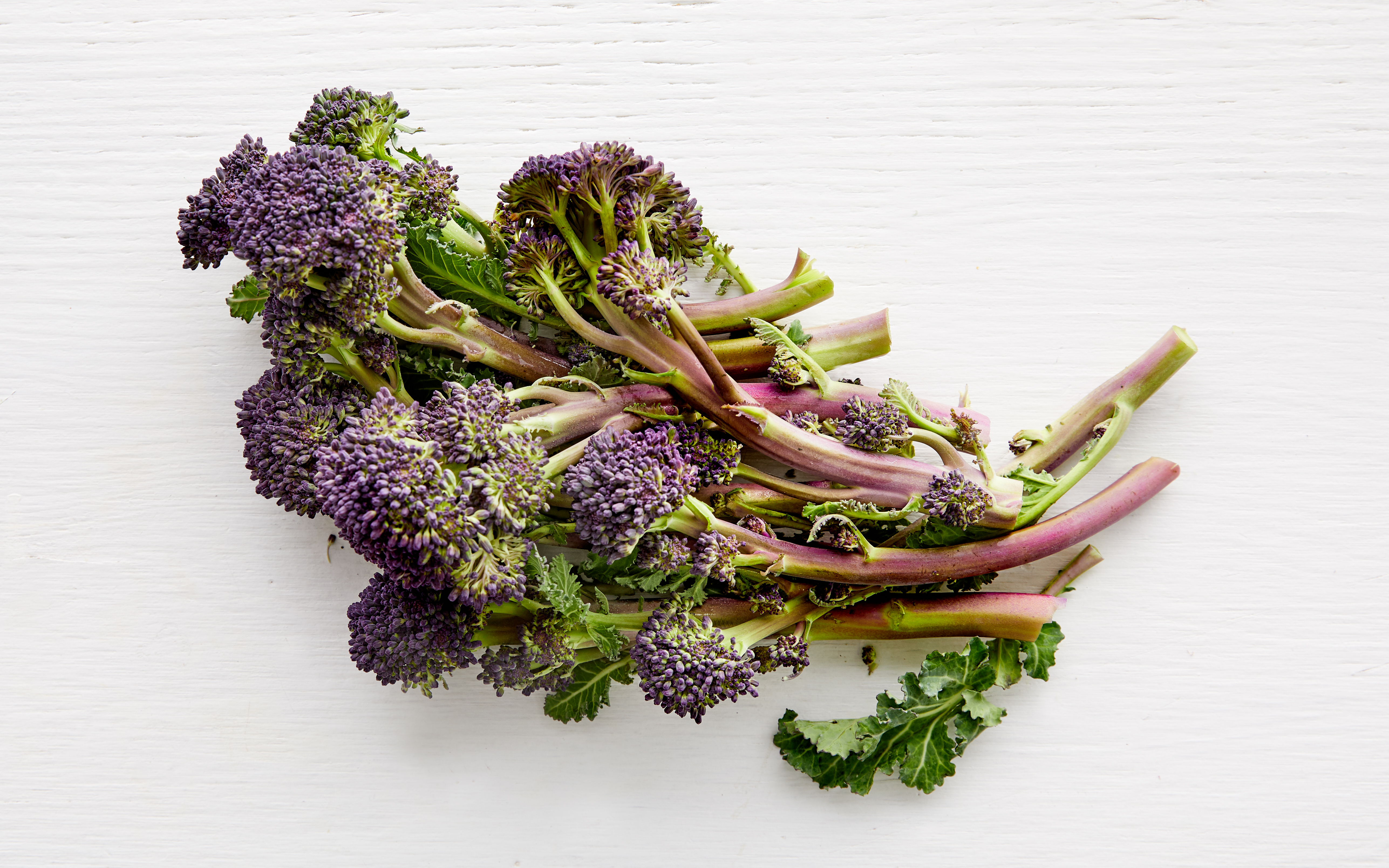 Organic Purple Baby Broccoli 1 bunch True Harvest Good Eggs