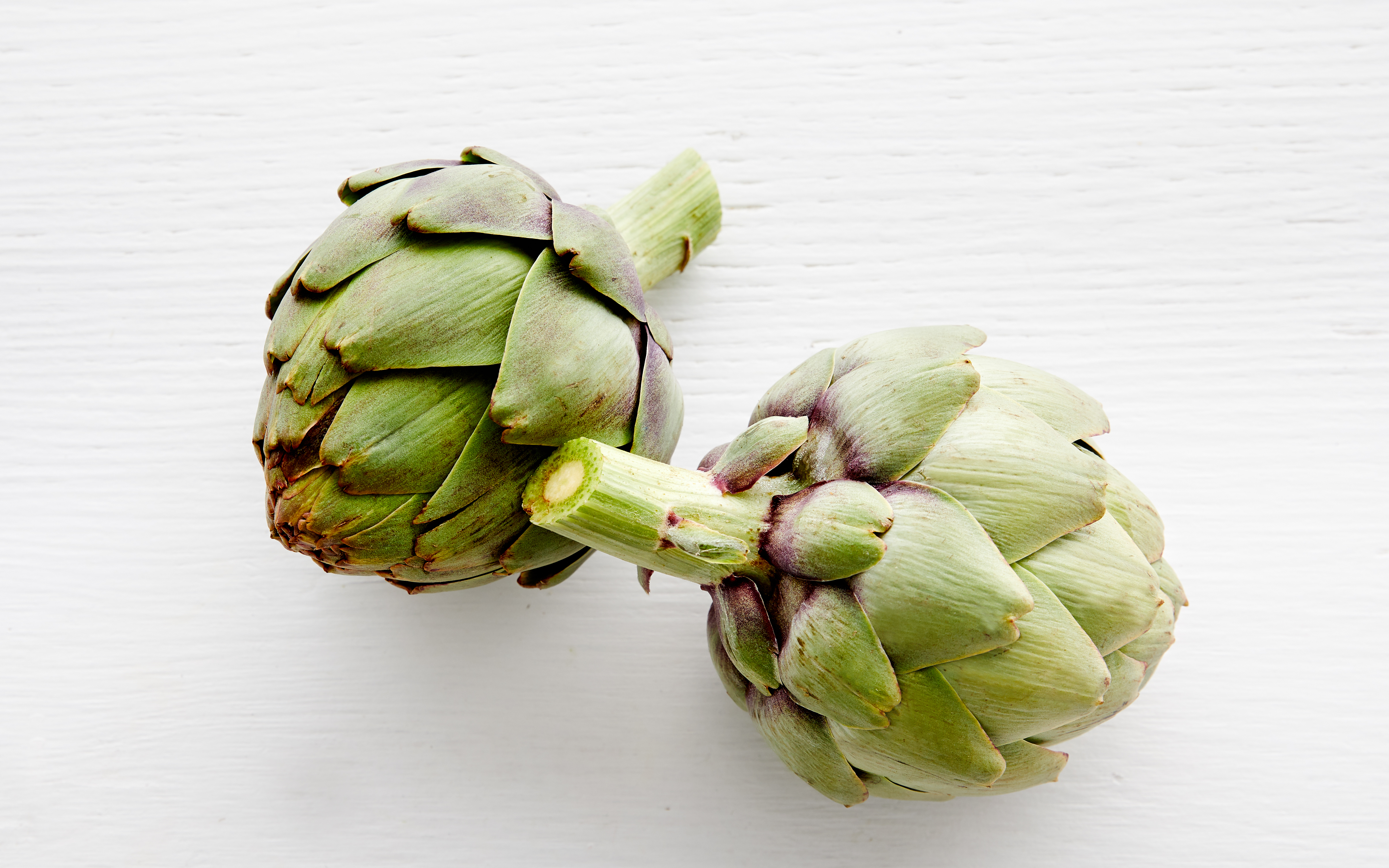 Organic Globe Artichoke Duo | 2 count | Lakeside Organic Gardens