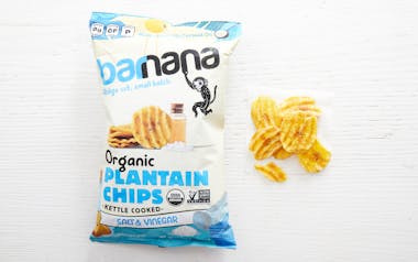 Organic Sea Salt & Vinegar Plantain Chips