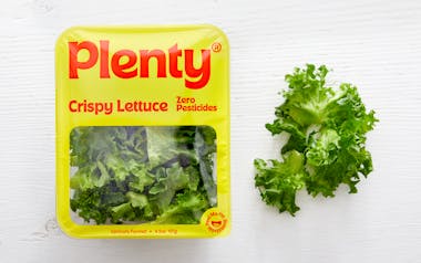 Crispy Lettuce