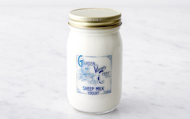 Sheep's Milk Yogurt Pint