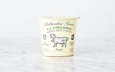 A2 Organic Plain Whole Milk Yogurt